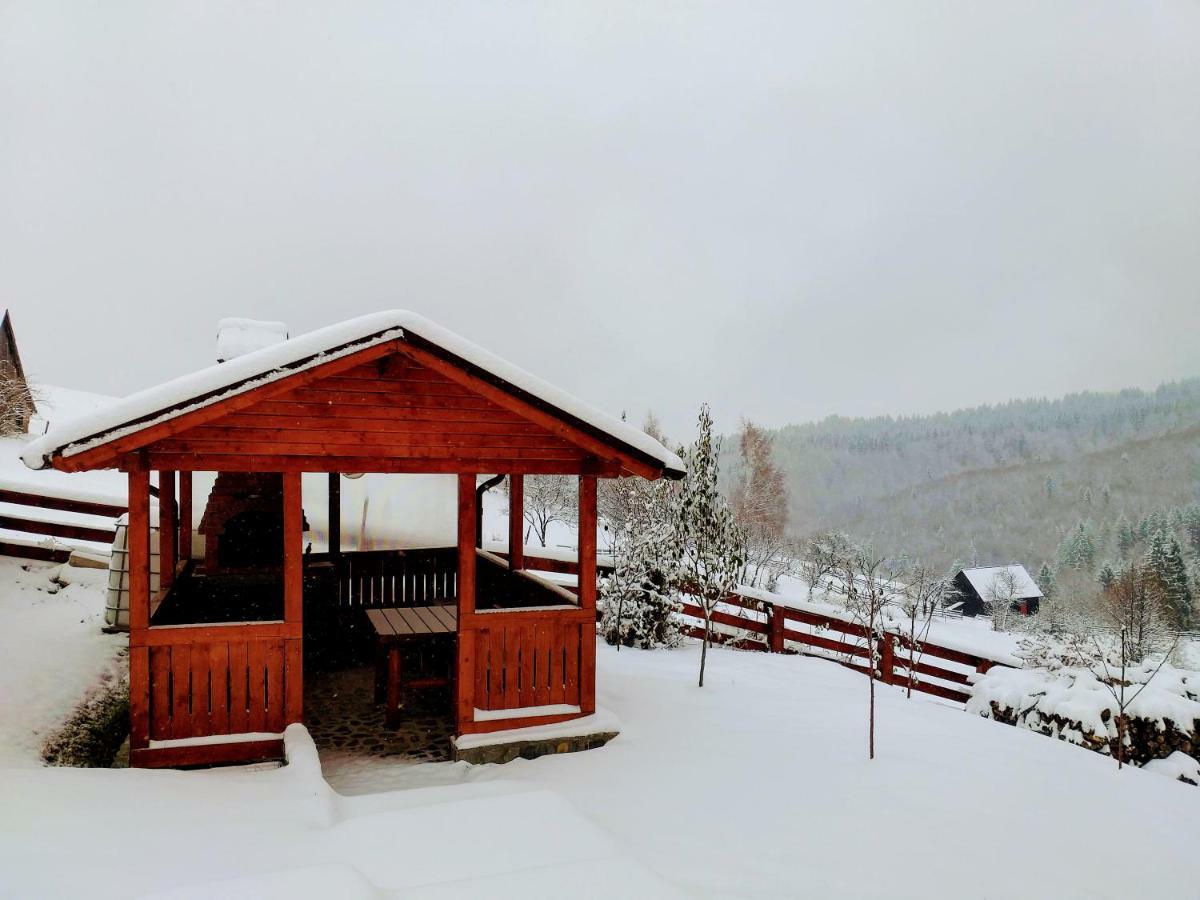 Holiday home Casa Magnolia Bran (Brasov)