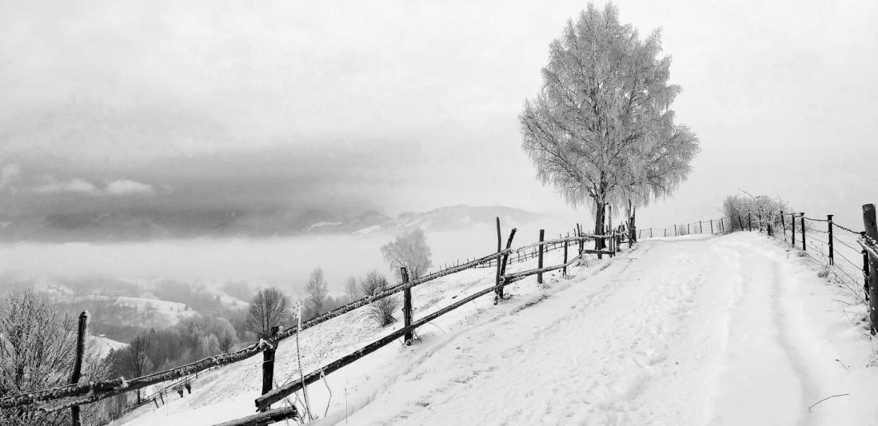 Casa Magnolia Holiday home Bran (Brasov)